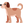:dog: