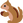 :chipmunk: