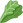 :leafy_green:
